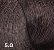 Baco Color Fast 100ml - 10-minute Permanent Colour