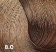 Baco Color Fast 100ml - 10-minute Permanent Colour