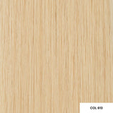 Angel Extensions Slimline 3x0.9cm Tape Extensions