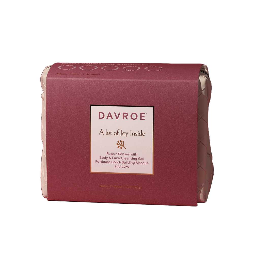 Davroe Travel Pack - Repair